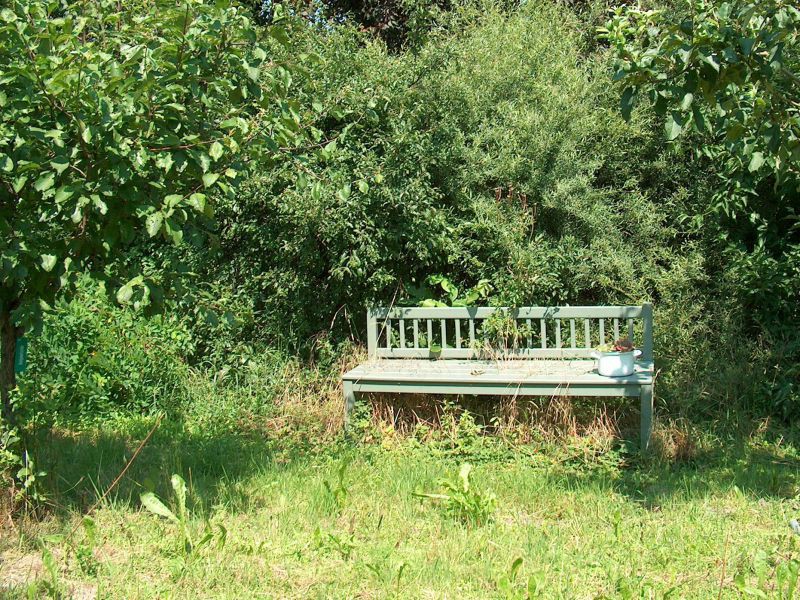 Gartenbank vor Sträuchern